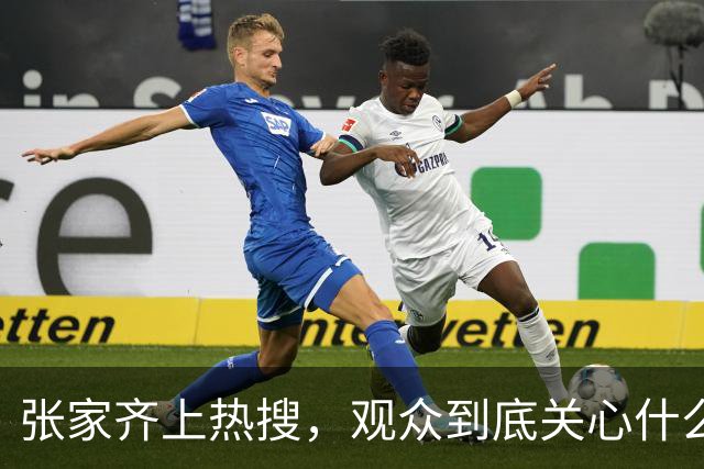 张家齐上热搜，观众到底关心什么？