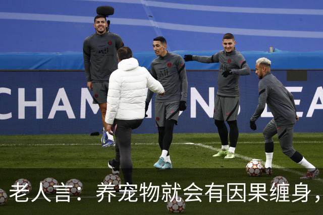 老人言：养宠物就会有因果缠身，这3件事养猫人需要知的冥界规则